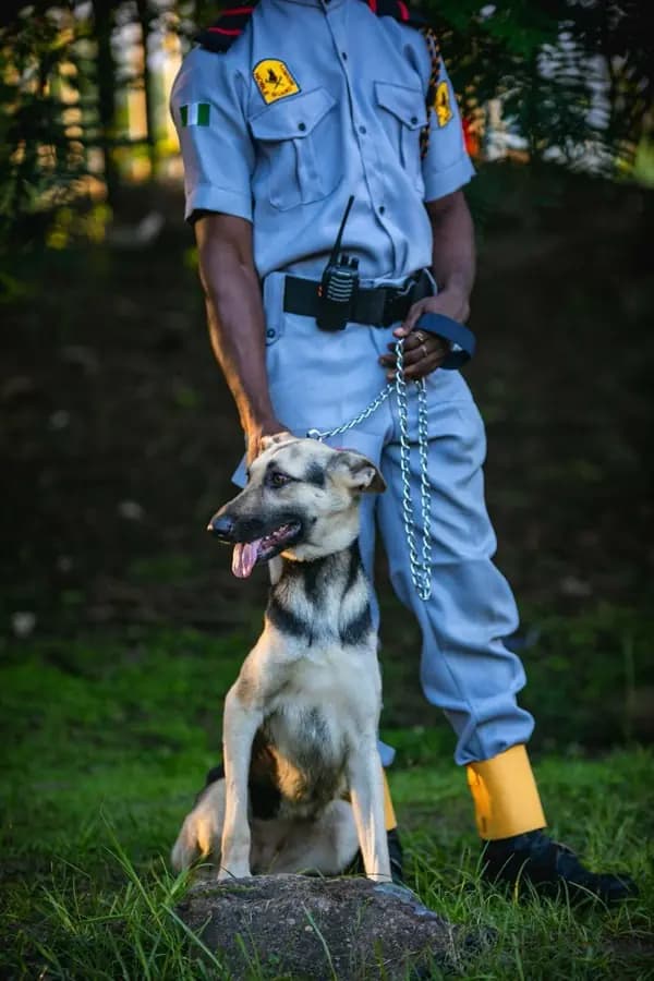 A uniformed handler with a German Shepherd security dog